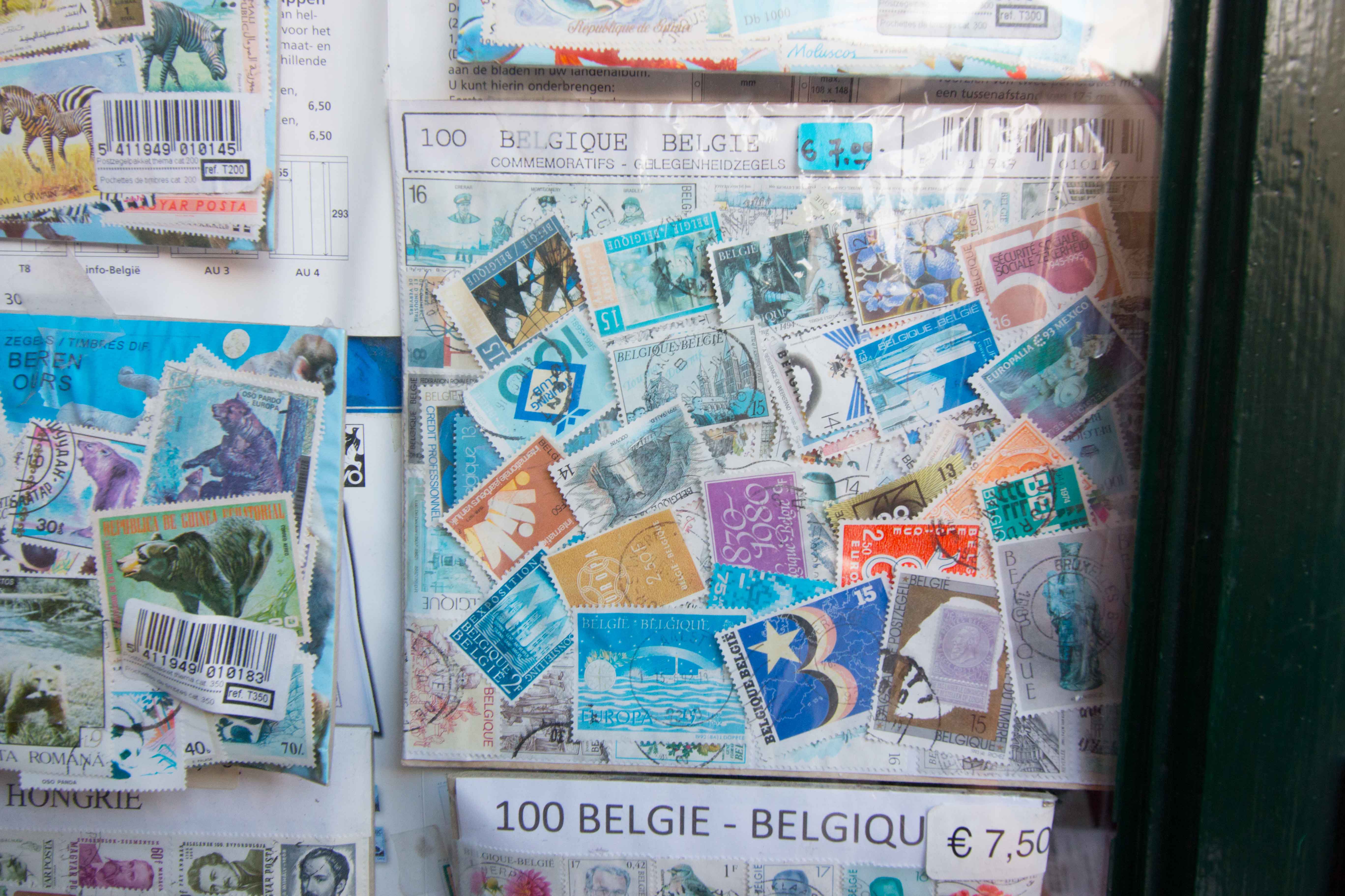 IMG_6892blog.jpgjpg-2